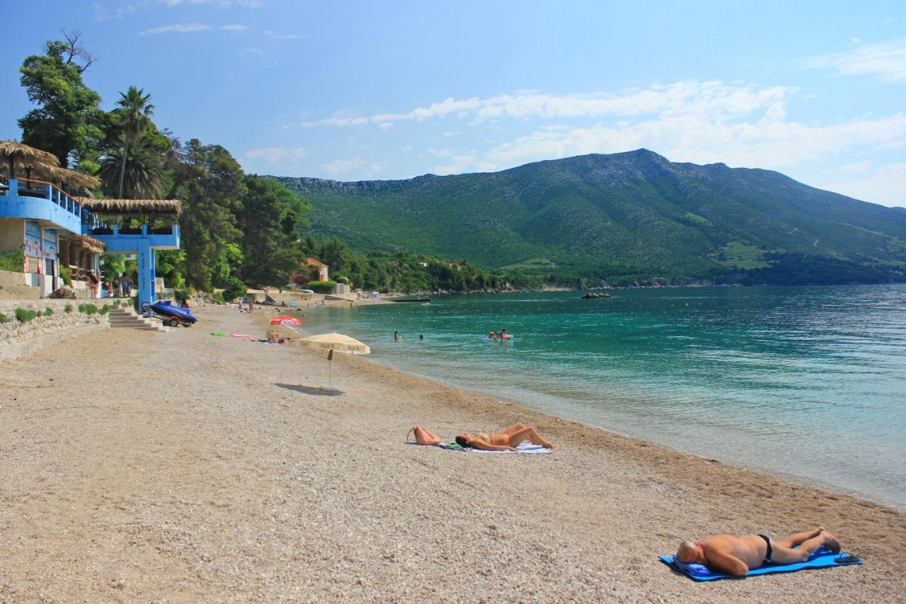 Apartments With A Parking Space Orebic, Peljesac - 10157 Dış mekan fotoğraf